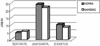 Distribusi dan Frekuensi Relatif Sel Endokrin Ekstra-Insular 